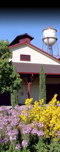 Martin Ray Winery - Historical Winery in Santa Rosa